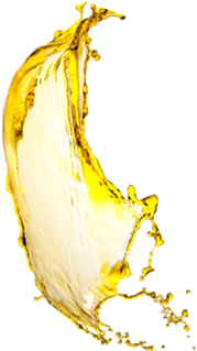 the Best Restaurant in Bekasi, tempat nongkrong di Bekasi, restoran di bekasi, tempat pesta di bekasi, barbeque di bekasi, restoran romantis di bekasi, outdoor restaurant, pesta tahun baru, pesta ulang tahun, birthday party, gathering party, farewell party, bbq party